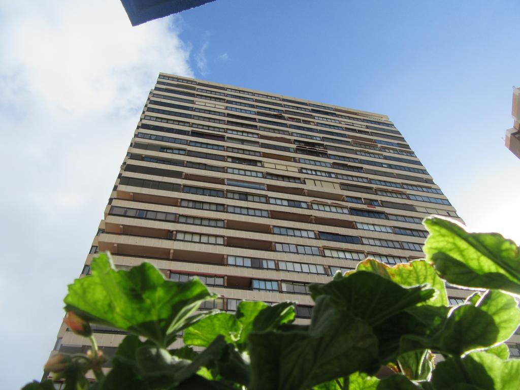 Diamond Appartement *