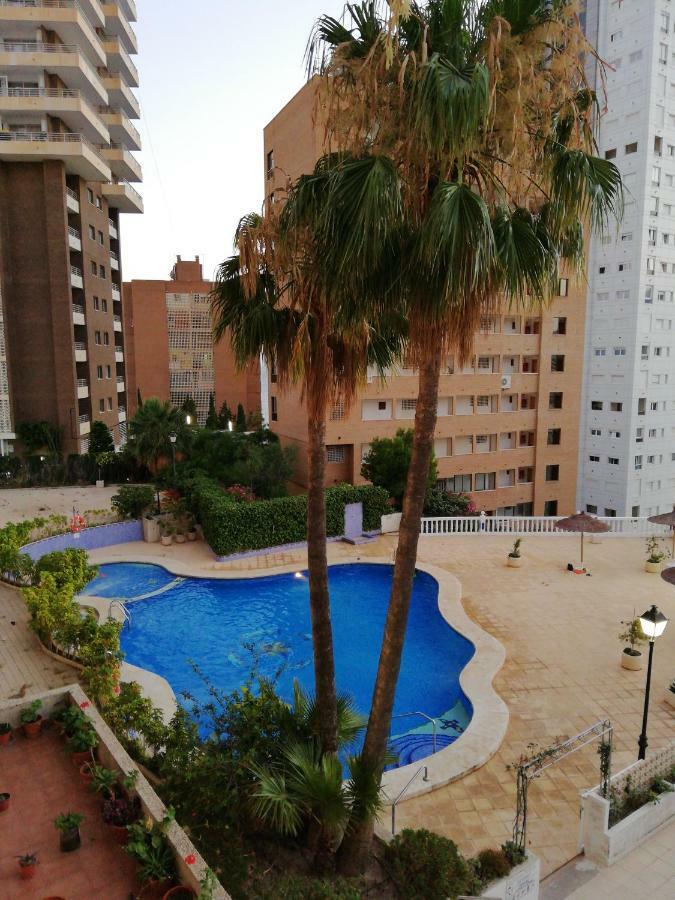 Appartement Diamond *